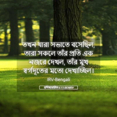 Picture 05 - पশিষ্যচরিত 6:15 BENIRV - তখন যারা সভাতে - Bible Verse Picture