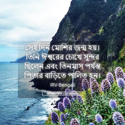 Picture 05 - पশিষ্যচরিত 7:20 BENIRV - সেই দিন মোশির জন্ম - Bible Verse Picture