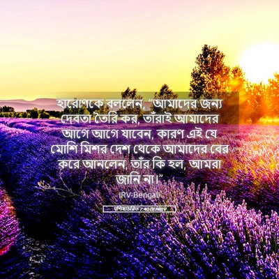 Picture 05 - पশিষ্যচরিত 7:40 BENIRV - হারোণকে বললেন, - Bible Verse Picture