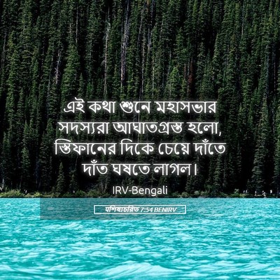 Picture 05 - पশিষ্যচরিত 7:54 BENIRV - এই কথা শুনে - Bible Verse Picture