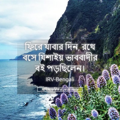 Picture 05 - पশিষ্যচরিত 8:28 BENIRV - ফিরে যাবার দিন, রথে - Bible Verse Picture