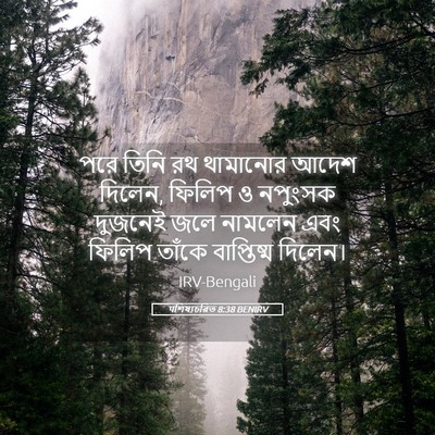 Picture 05 - पশিষ্যচরিত 8:38 BENIRV - পরে তিনি রথ - Bible Verse Picture
