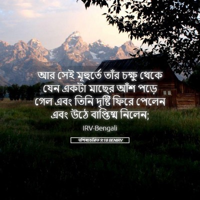 Picture 05 - पশিষ্যচরিত 9:18 BENIRV - আর সেই মূহুর্তে - Bible Verse Picture