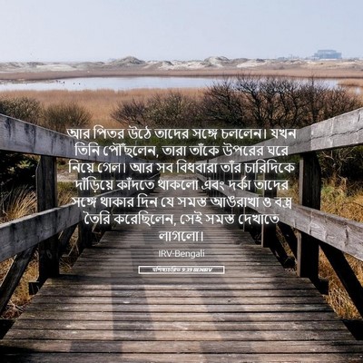 Picture 05 - पশিষ্যচরিত 9:39 BENIRV - আর পিতর উঠে তাদের - Bible Verse Picture