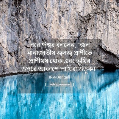 Picture 05 - আদি 1:20 BENIRV - পরে ঈশ্বর বললেন, - Bible Verse Picture