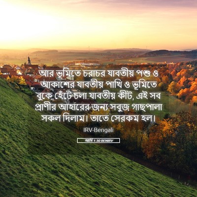 Picture 05 - আদি 1:30 BENIRV - আর ভূমিতে চরাচর - Bible Verse Picture