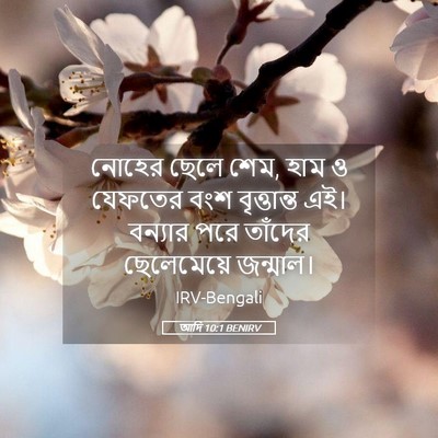 Picture 05 - আদি 10:1 BENIRV - নোহের ছেলে শেম, হাম - Bible Verse Picture