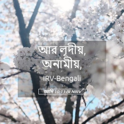 Picture 05 - আদি 10:13 BENIRV - আর লূদীয়, - Bible Verse Picture