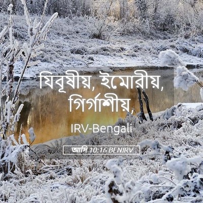Picture 05 - আদি 10:16 BENIRV - যিবূষীয়, ইমোরীয়, - Bible Verse Picture