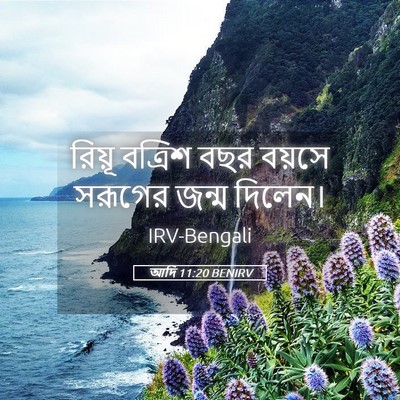 Picture 05 - আদি 11:20 BENIRV - রিয়ূ বত্রিশ বছর - Bible Verse Picture