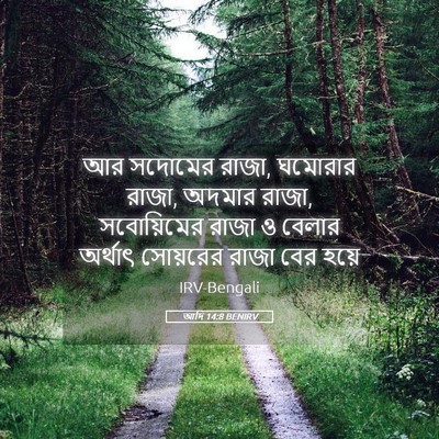 Picture 05 - আদি 14:8 BENIRV - আর সদোমের রাজা, - Bible Verse Picture