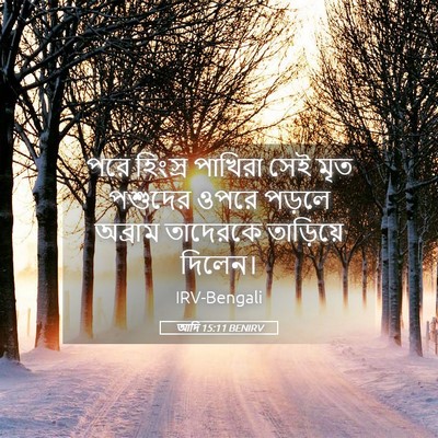 Picture 05 - আদি 15:11 BENIRV - পরে হিংস্র পাখিরা - Bible Verse Picture