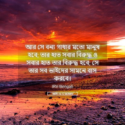 Picture 05 - আদি 16:12 BENIRV - আর সে বন্য গাধার - Bible Verse Picture