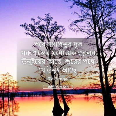Picture 05 - আদি 16:7 BENIRV - পরে সদাপ্রভুর দূত - Bible Verse Picture