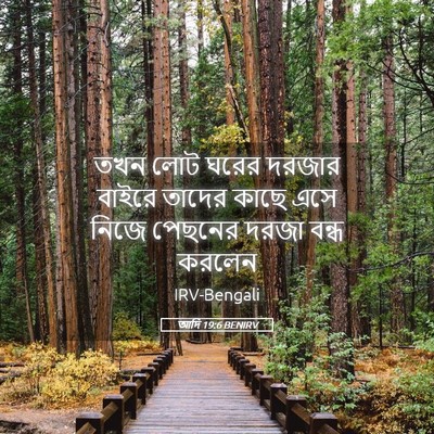 Picture 05 - আদি 19:6 BENIRV - তখন লোট ঘরের দরজার - Bible Verse Picture