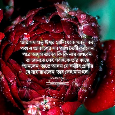 Picture 05 - আদি 2:19 BENIRV - আর সদাপ্রভু ঈশ্বর - Bible Verse Picture