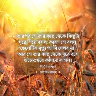 Picture 05 - আদি 21:16 BENIRV - তারপর সে তার কাছ - Bible Verse Picture