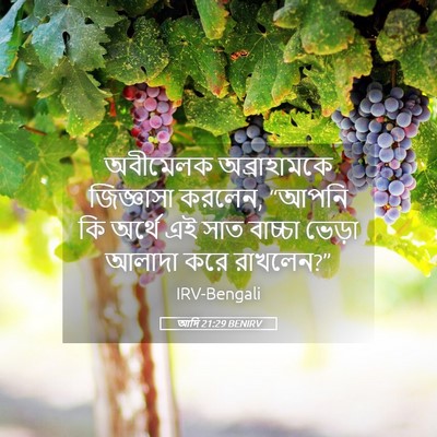 Picture 05 - আদি 21:29 BENIRV - অবীমেলক - Bible Verse Picture