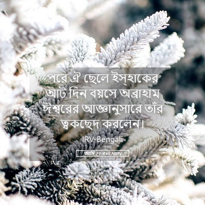Picture 05 - আদি 21:4 BENIRV - পরে ঐ ছেলে - Bible Verse Picture