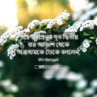 Picture 05 - আদি 22:15 BENIRV - পরে সদাপ্রভুর দূত - Bible Verse Picture