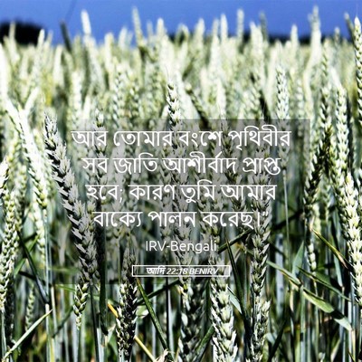 Picture 05 - আদি 22:18 BENIRV - আর তোমার বংশে - Bible Verse Picture