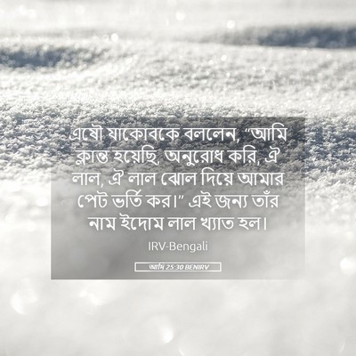 Picture 05 - আদি 25:30 BENIRV - এষৌ যাকোবকে বললেন, - Bible Verse Picture