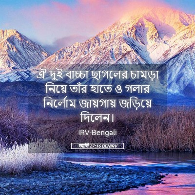 Picture 05 - আদি 27:16 BENIRV - ঐ দুই বাচ্চা - Bible Verse Picture