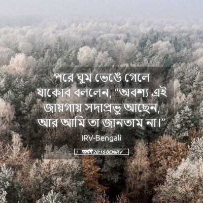 Picture 05 - আদি 28:16 BENIRV - পরে ঘুম ভেঙে গেলে - Bible Verse Picture
