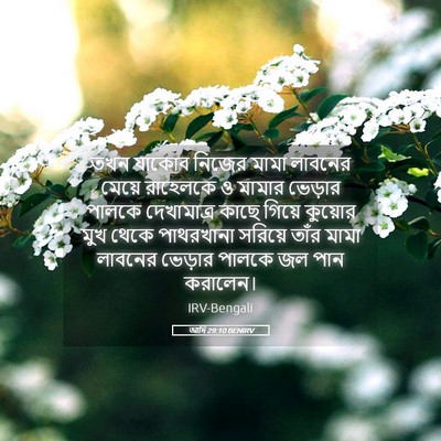Picture 05 - আদি 29:10 BENIRV - তখন যাকোব নিজের - Bible Verse Picture