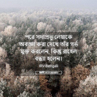 Picture 05 - আদি 29:31 BENIRV - পরে সদাপ্রভু - Bible Verse Picture
