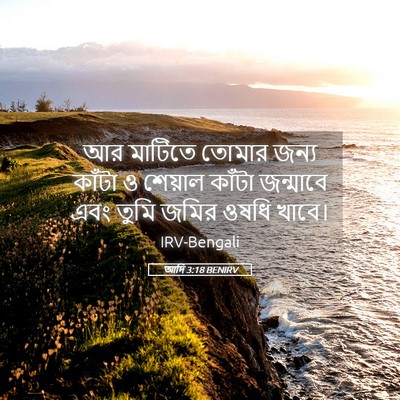 Picture 05 - আদি 3:18 BENIRV - আর মাটিতে তোমার - Bible Verse Picture