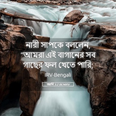 Picture 05 - আদি 3:2 BENIRV - নারী সাপকে বললেন, - Bible Verse Picture