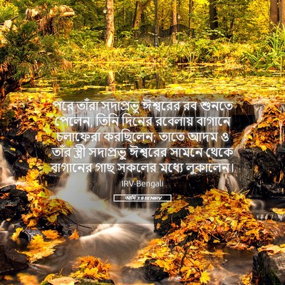 Picture 05 - আদি 3:8 BENIRV - পরে তাঁরা - Bible Verse Picture