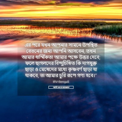 Picture 05 - আদি 30:33 BENIRV - এর পরে যখন আপনার - Bible Verse Picture