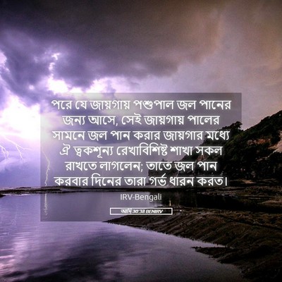 Picture 05 - আদি 30:38 BENIRV - পরে যে জায়গায় - Bible Verse Picture