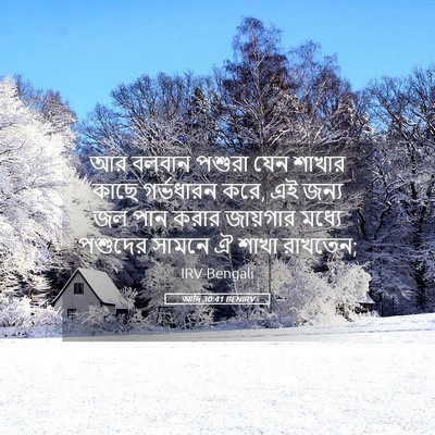 Picture 05 - আদি 30:41 BENIRV - আর বলবান পশুরা যেন - Bible Verse Picture