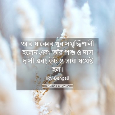 Picture 05 - আদি 30:43 BENIRV - আর যাকোব খুব - Bible Verse Picture