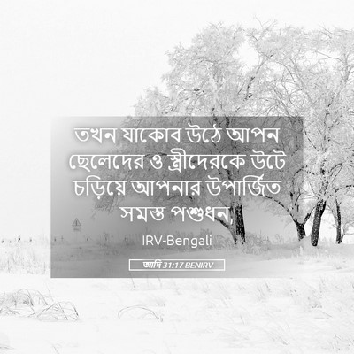 Picture 05 - আদি 31:17 BENIRV - তখন যাকোব উঠে আপন - Bible Verse Picture
