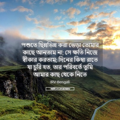 Picture 05 - আদি 31:39 BENIRV - পশুতে ছিন্নভিন্ন - Bible Verse Picture