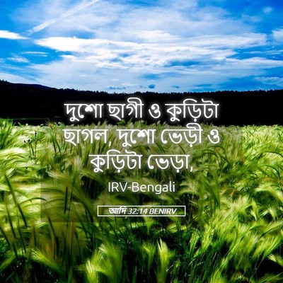 Picture 05 - আদি 32:14 BENIRV - দুশো ছাগী ও - Bible Verse Picture