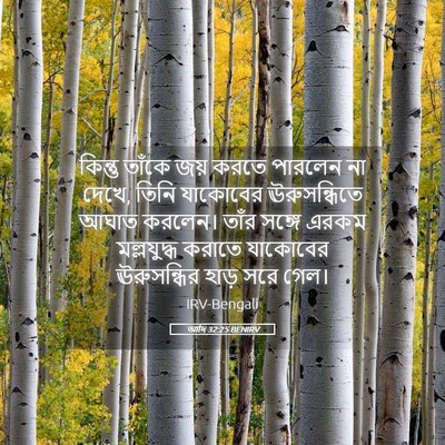 Picture 05 - আদি 32:25 BENIRV - কিন্তু তাঁকে জয় - Bible Verse Picture