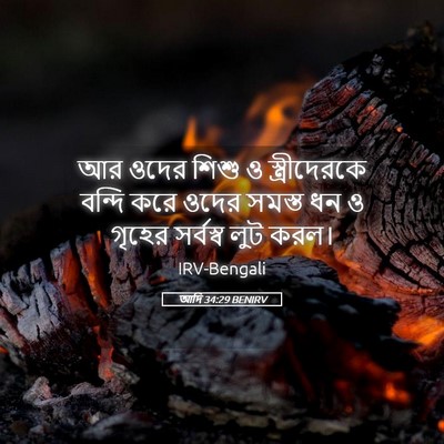 Picture 05 - আদি 34:29 BENIRV - আর ওদের শিশু ও - Bible Verse Picture