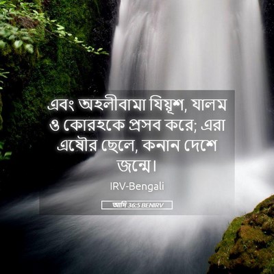 Picture 05 - আদি 36:5 BENIRV - এবং অহলীবামা - Bible Verse Picture