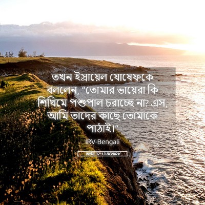 Picture 05 - আদি 37:13 BENIRV - তখন ইস্রায়েল - Bible Verse Picture
