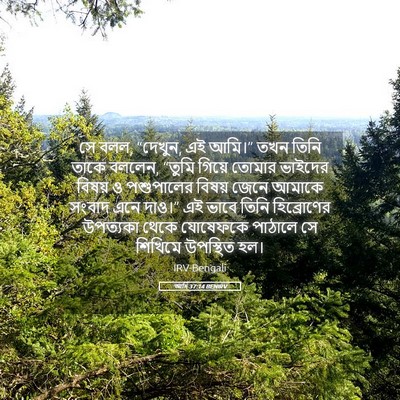 Picture 05 - আদি 37:14 BENIRV - সে বলল, “দেখুন, এই - Bible Verse Picture