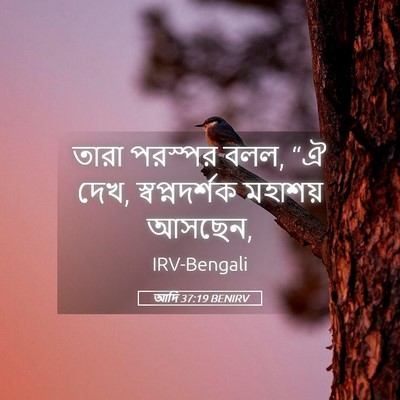 Picture 05 - আদি 37:19 BENIRV - তারা পরস্পর বলল, “ঐ - Bible Verse Picture