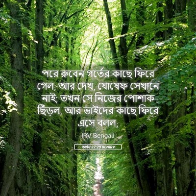 Picture 05 - আদি 37:29 BENIRV - পরে রুবেন গর্তের - Bible Verse Picture