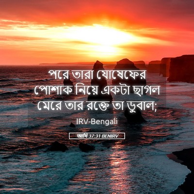 Picture 05 - আদি 37:31 BENIRV - পরে তারা যোষেফের - Bible Verse Picture