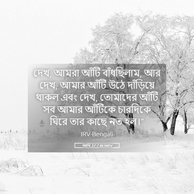 Picture 05 - আদি 37:7 BENIRV - দেখ, আমরা আঁটি - Bible Verse Picture