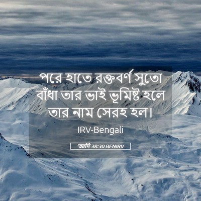 Picture 05 - আদি 38:30 BENIRV - পরে হাতে রক্তবর্ণ - Bible Verse Picture